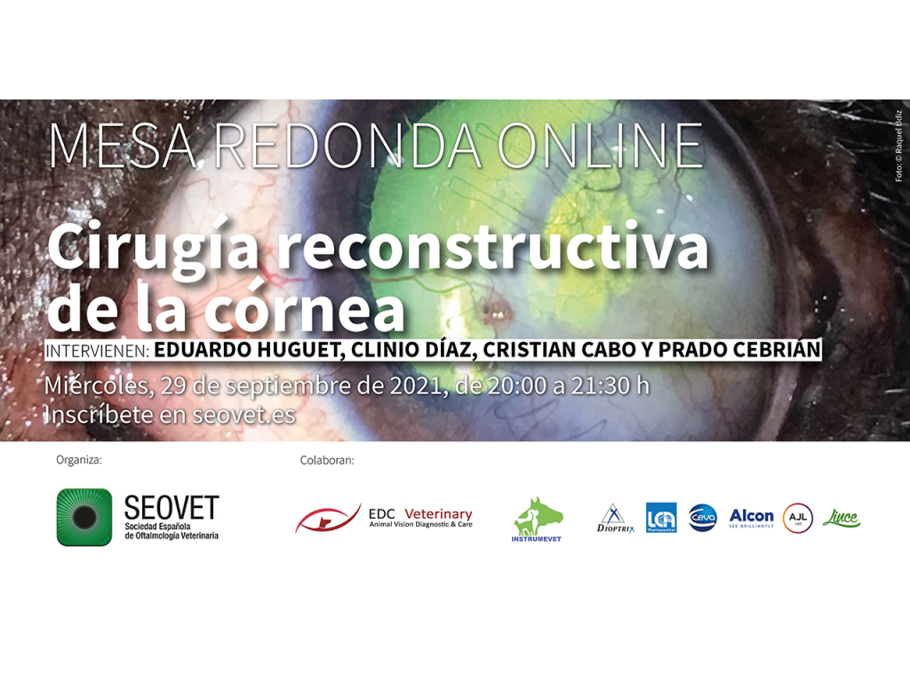 Mesa redonda online: Cirugía reconstructiva de la córnea