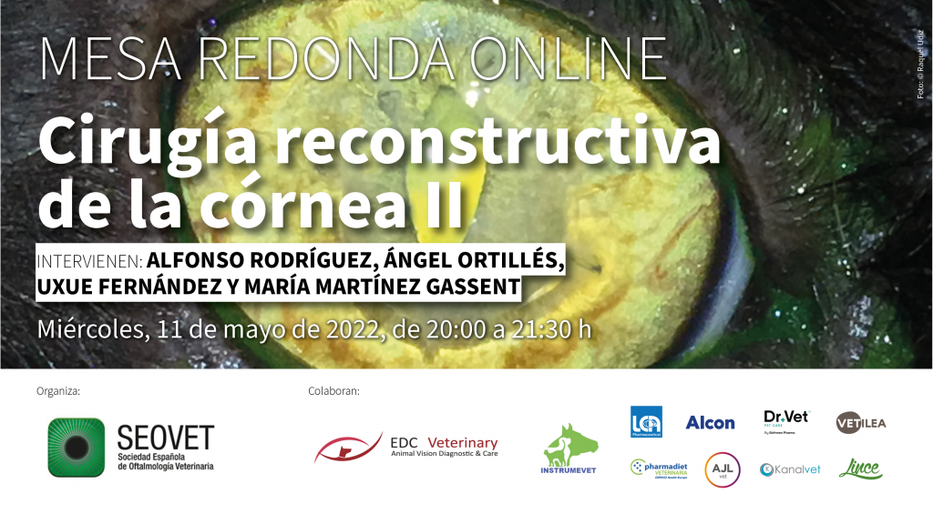 Mesa redonda: Cirugía reconstructiva de la córnea II