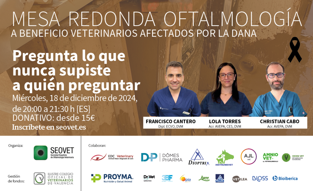Pregunta lo que nunca supiste a quién preguntar. Webinar solidario